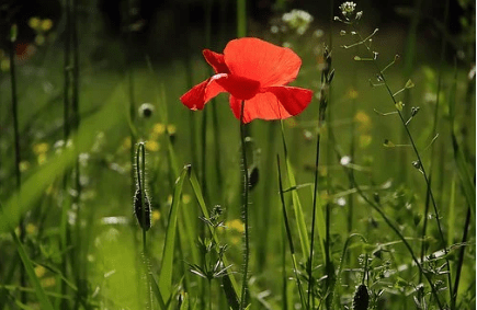 
社会之上 尽早明确这四个原理 将让你少走许多弯路‘ky集团首页’(图3)