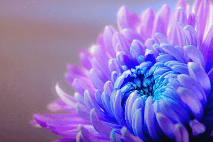 
社会之上 尽早明确这四个原理 将让你少走许多弯路‘ky集团首页’(图7)