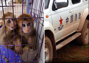 KY开元集团官网